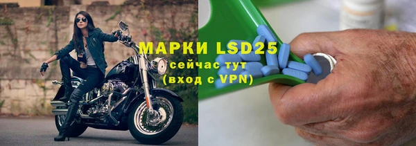 прущие грибы Алексеевка