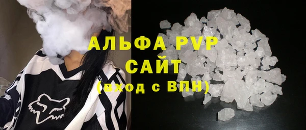 гашик Алексин