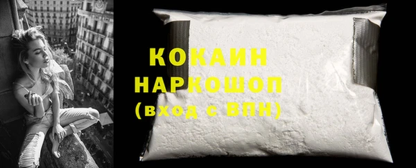 гашик Алексин