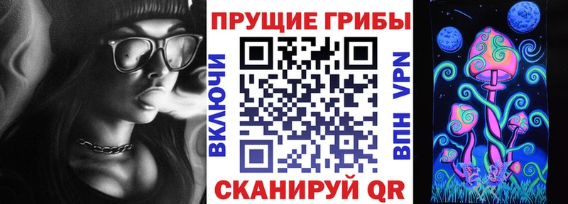 Галлюциногенные грибы мухоморы  закладка  Котовск 