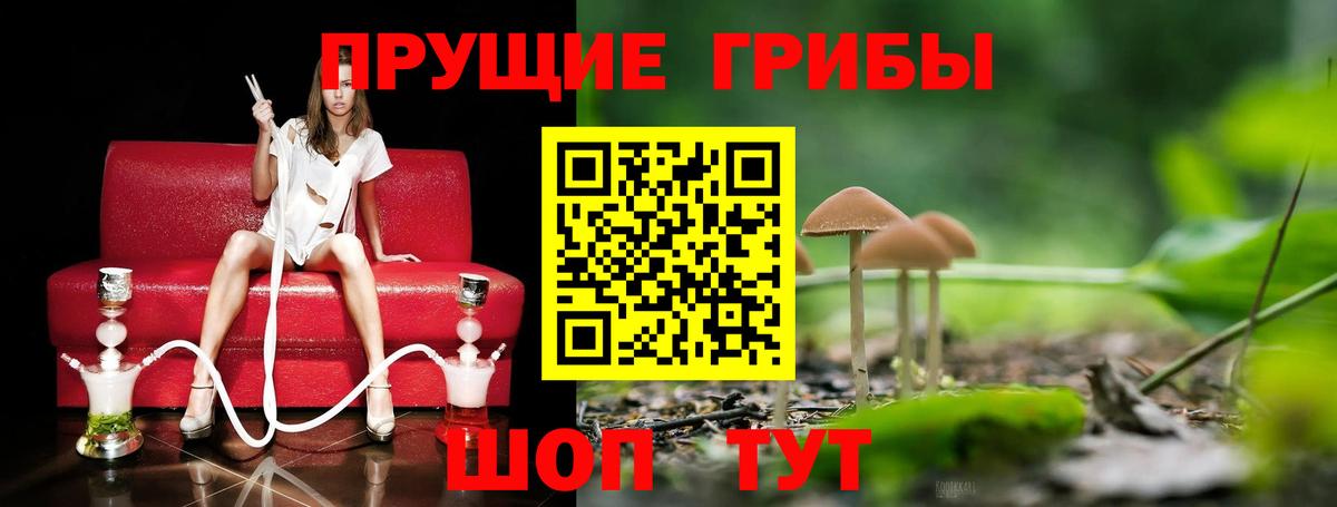 Псилоцибиновые грибы Psilocybe  Псилоцибиновые грибы ЛСД  Вход с VPN  Котовск 